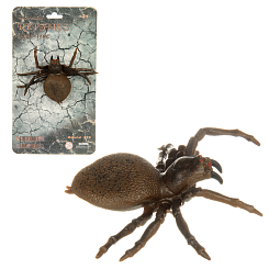 Паук 16х5х28 см.