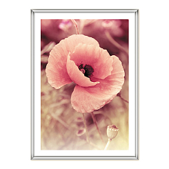 Фоторамка пластиковая 10Х15