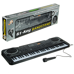 Синтезатор  электронный на бат. 61 клавиша,  с микроф,  54.5х17.5х5.5 см.