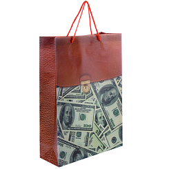 Сумка пластик 27x38x10 см