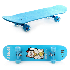 Скейтборд  дер. 78Х20см, колеса PU со светом, в асс
