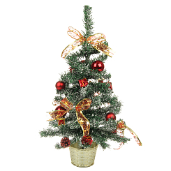 Ель декоративная красная, высота 60 см